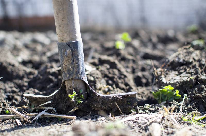 Paysagiste spécialisé dans l'aménagement complet de jardin à Colmar en alsace