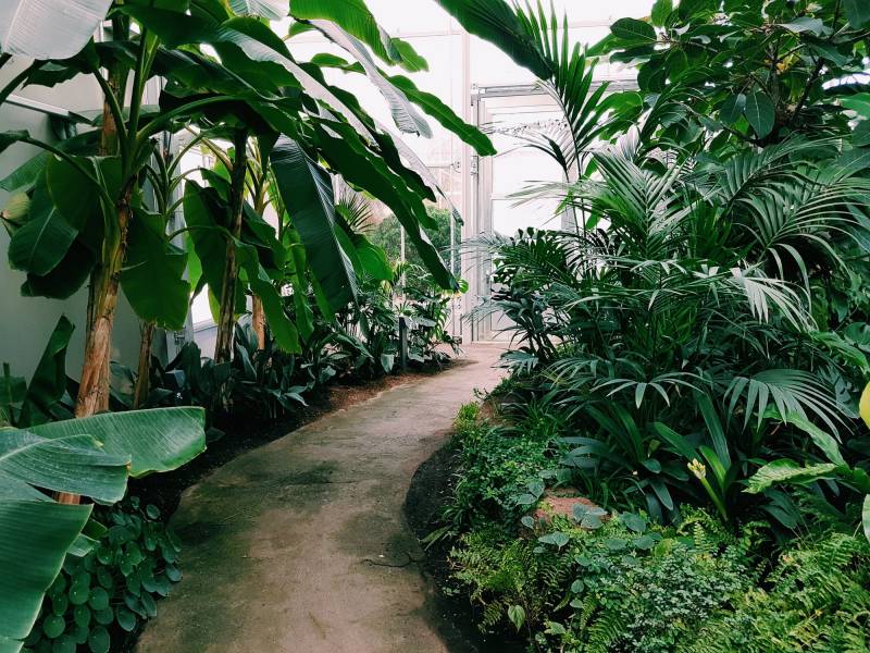 Jardin Contemporain Paysagiste en Alsace proche de Colmar en Alsace spécialisé dans les styles de plantation