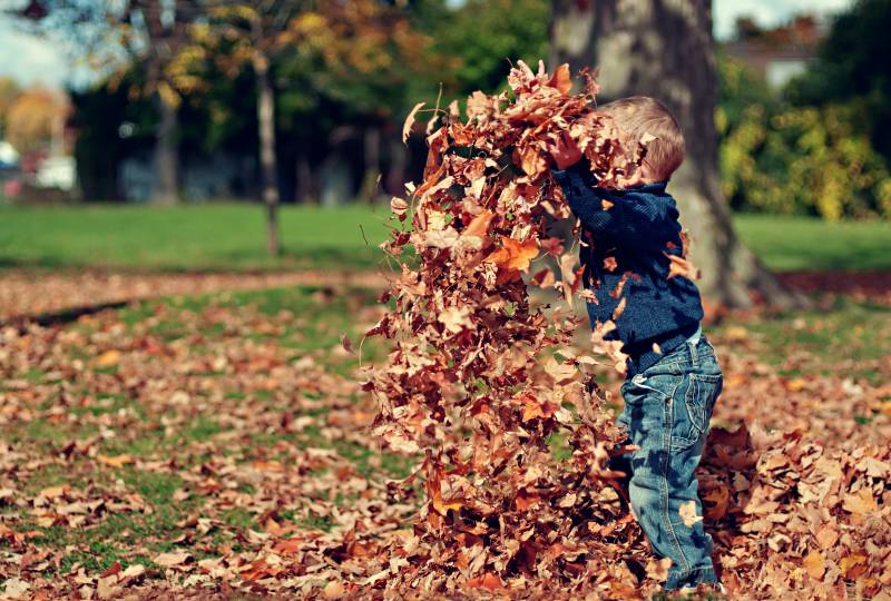 C'est l'automne!